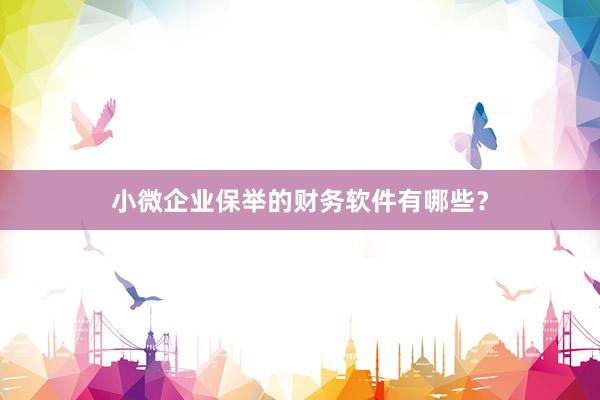 小微企业保举的财务软件有哪些？